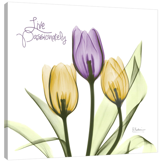 Live Passionately Tulips - Wrapped Canvas Graphic Art Print