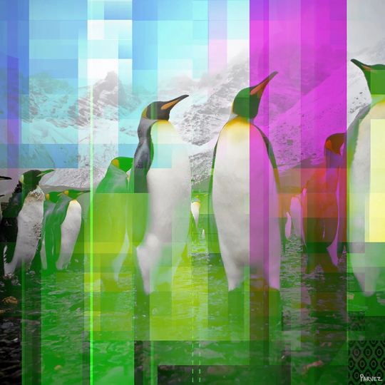 Marching Penguins Graphic Art Wrapped on Canvas