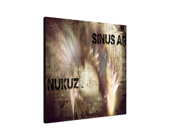 Enigma 325 Abstract Graphic Art Print on Canvas
