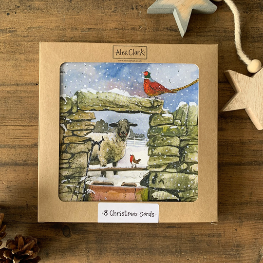 Farmyard Sheep Boxed Christmas Cards 8 Pack | xb03