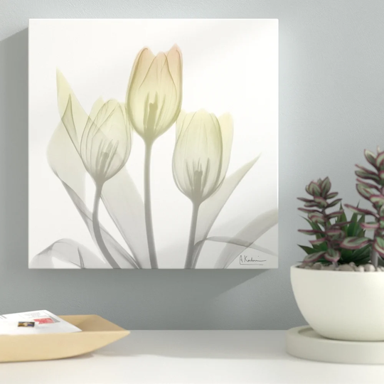 Sunday Morning Tulips Two - Wrapped Canvas Graphic Art Print