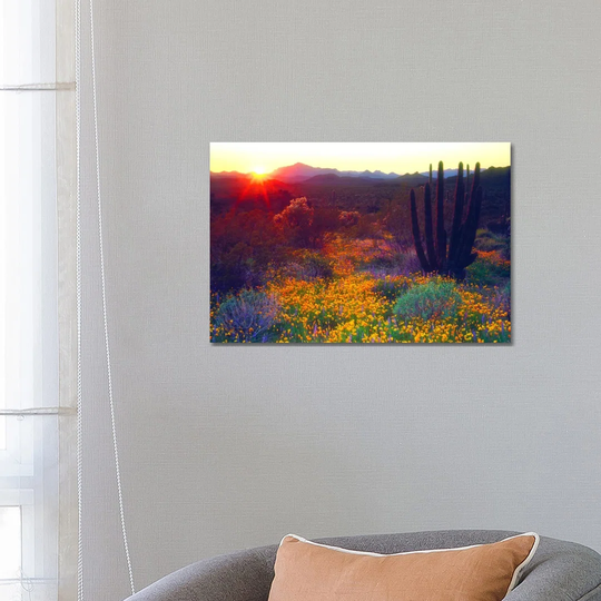 Sunset over an American Southwest Landscape, Organ Pipe Nati by Christopher Talbot Frank - Graphic Art Print on Canvas