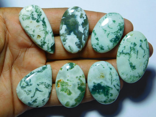 7 Pcs. Natural Tree Agate Lot Gemstone, Top Quality Cabochons, Tree Semi Precious, Tree Loose Stone 235Cts