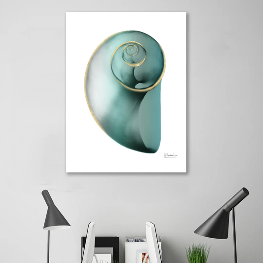 Shimmering Snail 2 - Wrapped Canvas Graphic Art Print