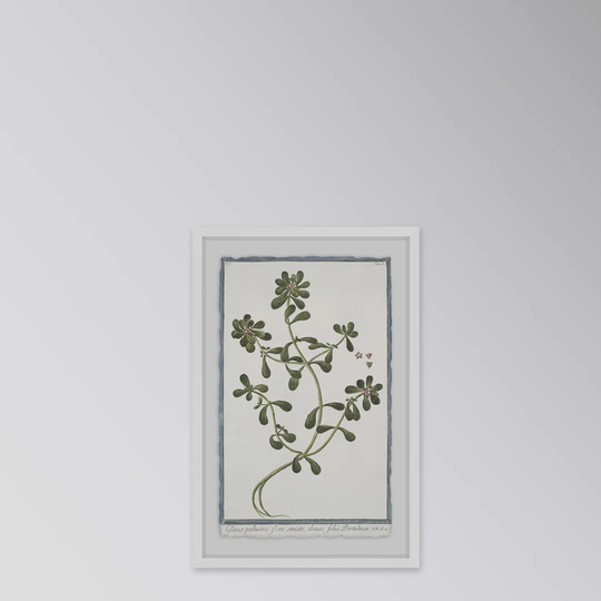 Growing - Picture Frame Graphic Art Print on Paper