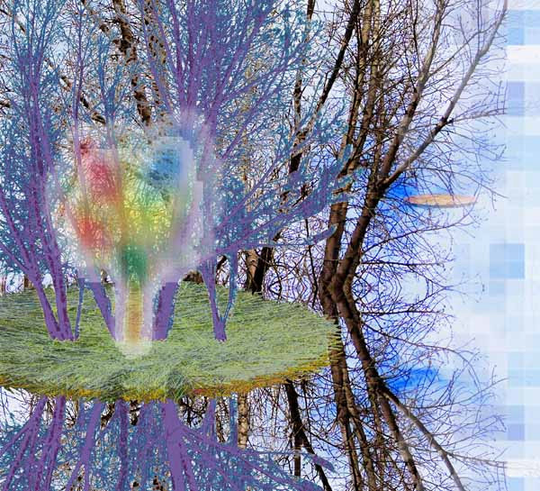 Tree 1 | Floating Giclee 15x19 | Unframed Print