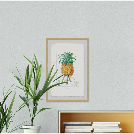 Botanical Pineapple - Picture Frame Graphic Art Print on Paper