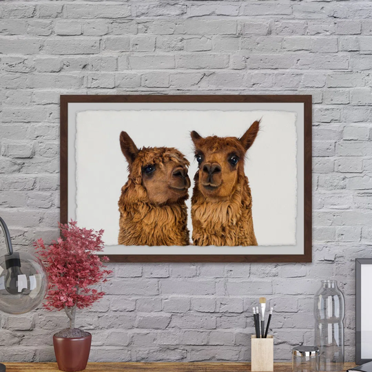 Brown Llama Pair - Picture Frame Graphic Art Print on Paper