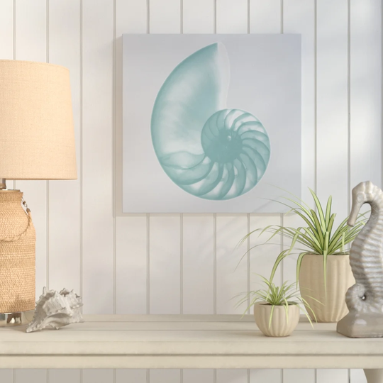 Aquifer Sea Shell - Wrapped Canvas Graphic Art Print