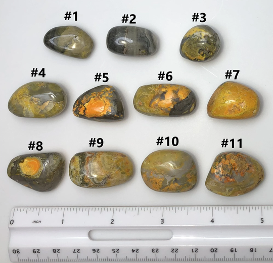 Bumble Bee Jasper | Tumbled