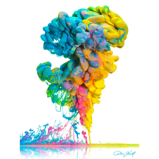 A Plume of Many Colours by Don Farrall - Wrapped Canvas Graphic Art Print