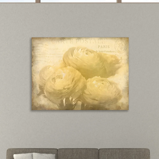 Ranunkeln Blooms by Kimberly Allen - Wrapped Canvas Graphic Art Print