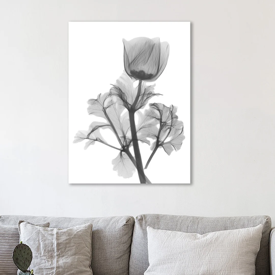Lonely Anemone - Wrapped Canvas Graphic Art Print
