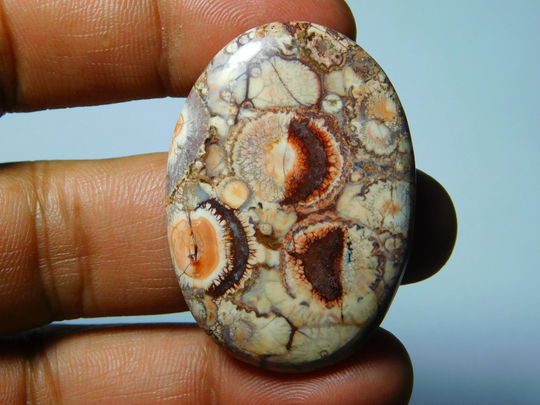 Bird Eye Jasper, Bird Jasper Gemstone, Bird Cabochons, Bird Loose Stone, Jasper Gemstone. 60Cts(44x31mm