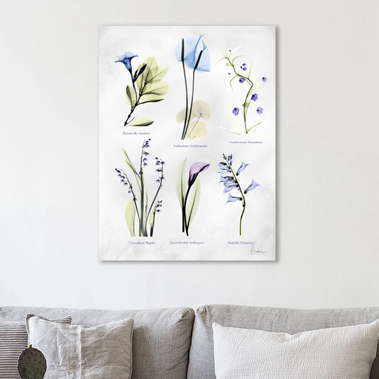 Vast Botanicals - Wrapped Canvas Graphic Art Print