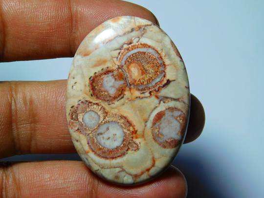 Bird Eye Jasper, Bird Jasper Gemstone, Bird Cabochons, Bird Loose Stone, Jasper Gemstone. 66Cts(46x34mm