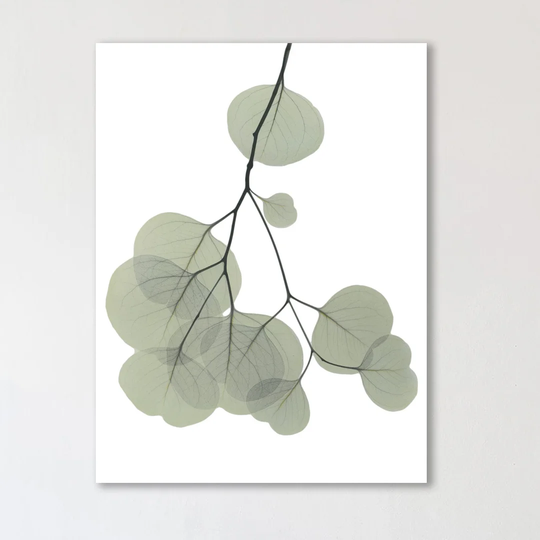 Descending Eucalyptus 3 - Wrapped Canvas Graphic Art Print
