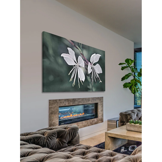 Wonderful Whites by Leda Robertson - Wrapped Canvas Graphic Art Print