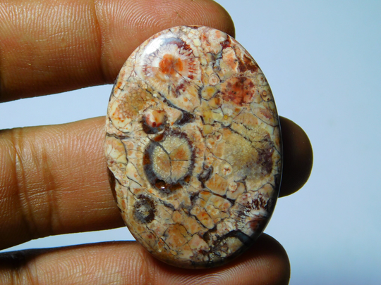 Bird Eye Jasper, Bird Jasper Gemstone, Bird Cabochons, Bird Loose Stone, Jasper Gemstone. 54Cts(44x31mm