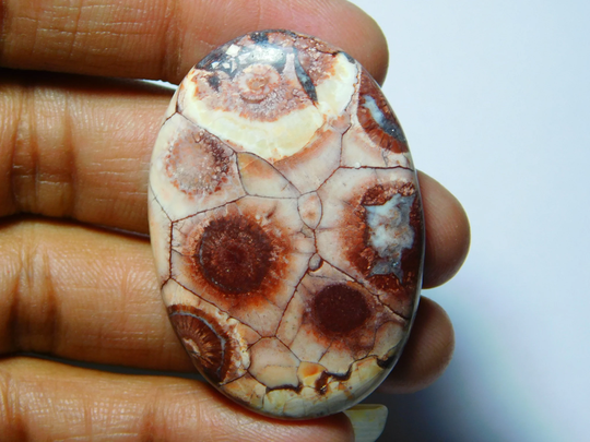 Bird Eye Jasper, Bird Jasper Gemstone, Bird Cabochons, Bird Loose Stone, Jasper Gemstone. 56Cts(43x30mm