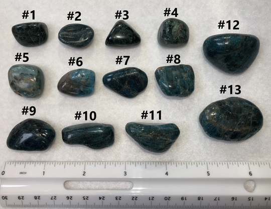Blue Apatite | Tumbled