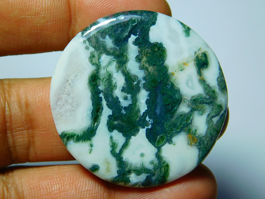 Natural Tree Agate Gemstone, Top Quality Cabochons, Tree Semi Precious, Tree Loose Stone 64Cts.(42x42mm
