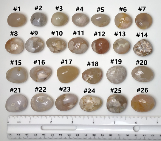 Flower Agate | Tumbled