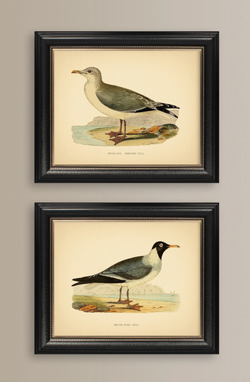 Set Of 2 Seagull Prints Coastal Decor Nautical Vintage Birds Art Seascape Beach Print Reproduction Botanical