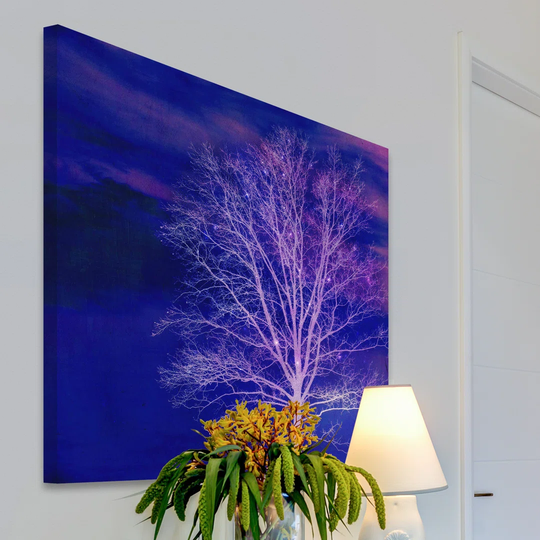 Sparkle by Robert Dickinson - Wrapped Canvas Graphic Art Print