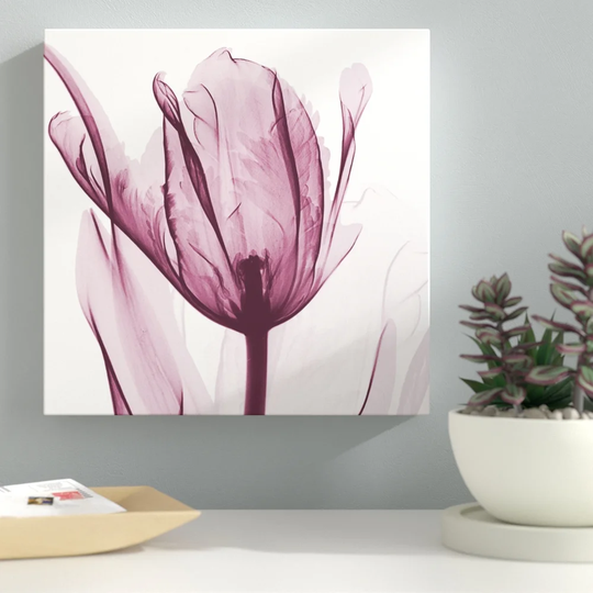 The Purple Tulip_C54 - Wrapped Canvas Graphic Art Print