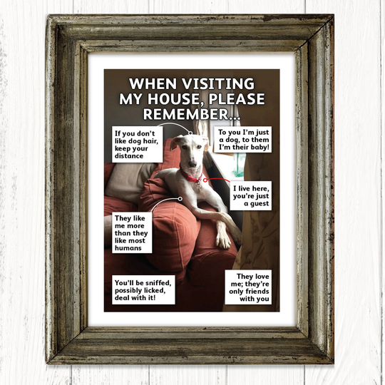 Put Your Dog Or Cat in The Frame - Personalised A4 Print Of Cat, Art Print, Christmas Gifts, Birthday Unframed