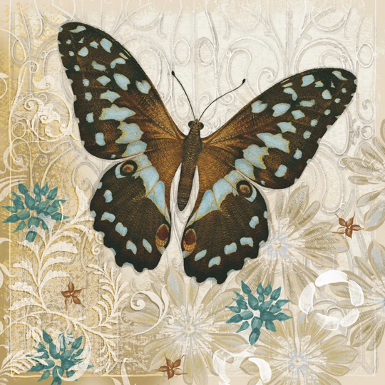 Brown Butterfly by Alan Hopfensperger - Wrapped Canvas Graphic Art Print
