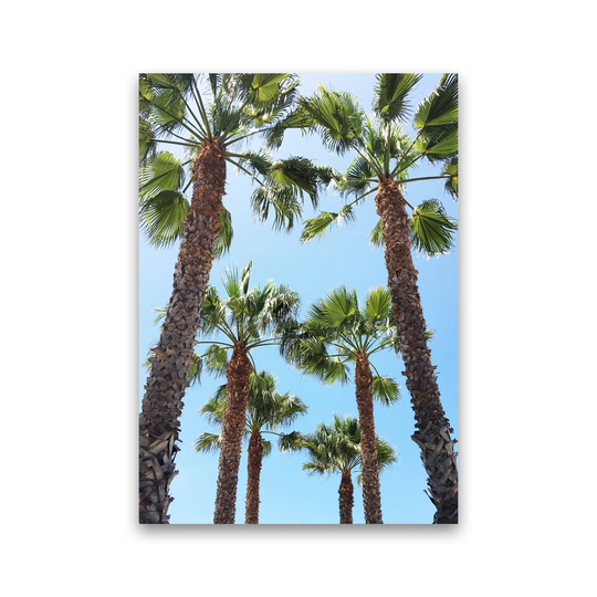 Venice Beach by Gal Design - Wrapped Canvas Graphic Art Print