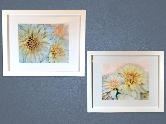 Dahlia Cafe Au Lait Blue & Pink Tones Print Set