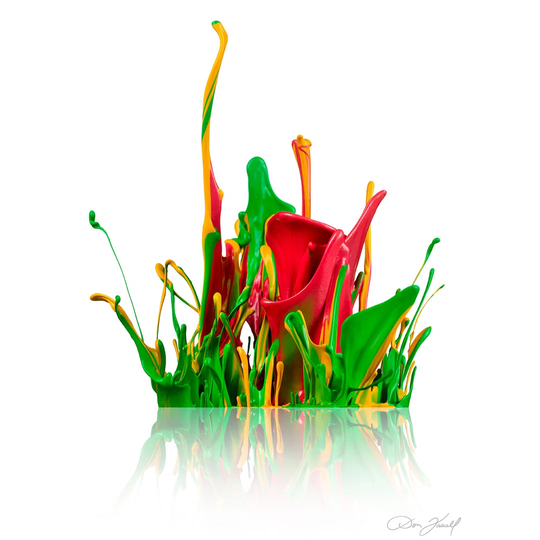 Paint Blossom by Don Farrall - Wrapped Canvas Graphic Art Print