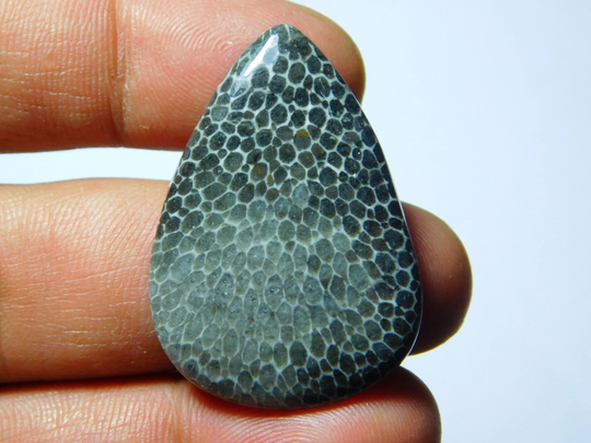 Aaa Quality Black Fossil Coral Cabochons Natural Gemstone High Grade Loose Stone 32Cts.(38x26