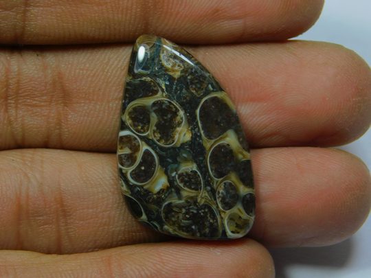Royal Natural Turritella Agate Gemstone Top Quality Fossil Cabochon Hand Polish Loose Stone For Jewelry 20 Ct 32 X 21 Mm 4506