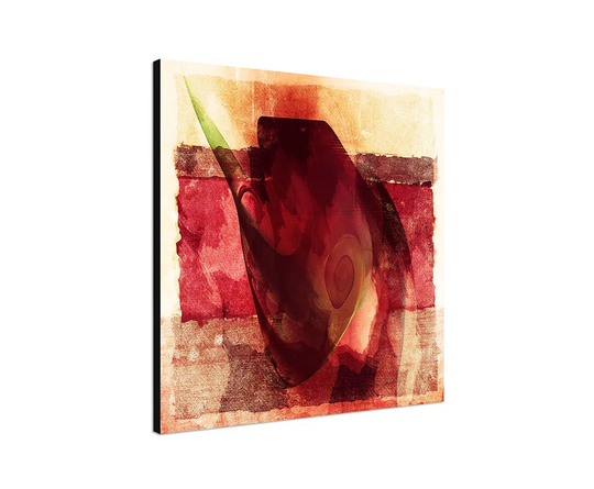 Enigma 220 Abstract Graphic Art Print on Canvas