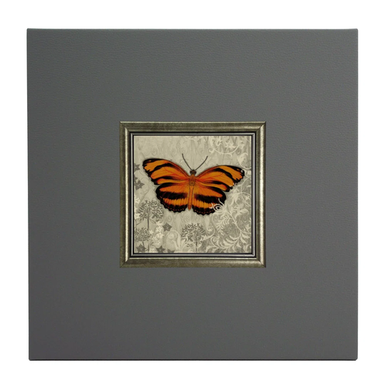 Orange Butterfly I Framed Graphic Art Print on Paper