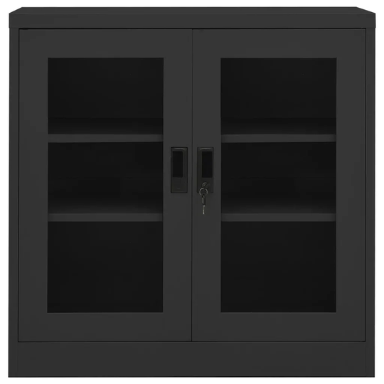 Breonte 2 -Door 3 -Shelf Storage Cabinet