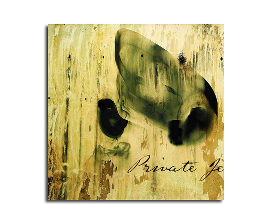 Enigma 448 Abstract Graphic Art Print on Canvas