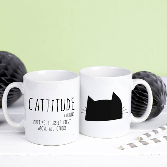 Cat Lover Mug - Cattitude Gift