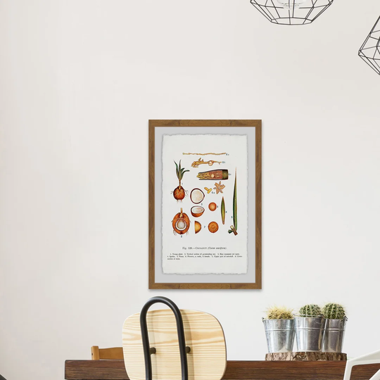 Botanical Coconut - Picture Frame Graphic Art Print on Paper