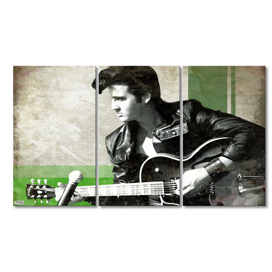 Elvis 3 Piece Graphic Art on Canvas Set