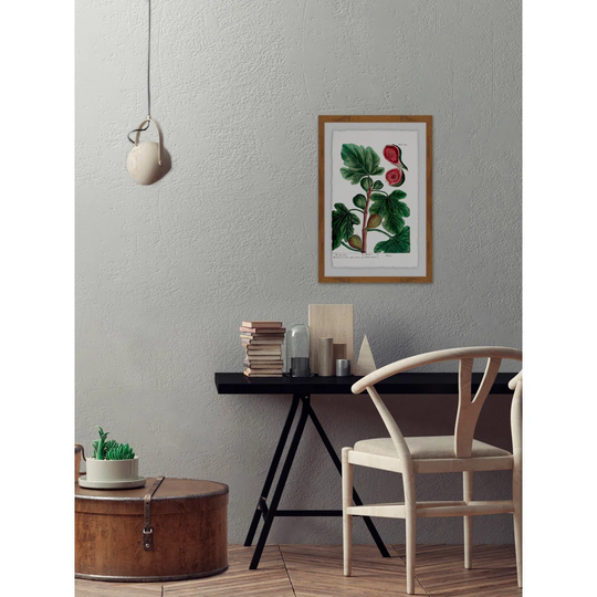 Figues Rouges - Picture Frame Graphic Art Print on Paper