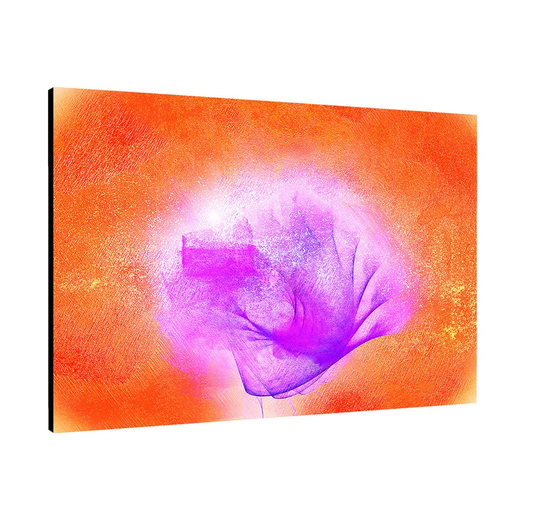 Enigma 023 Abstract Graphic Art Print on Canvas