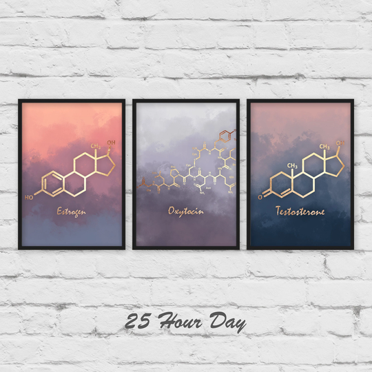 Set Of Prints, Estrogen Molecule, Testosterone Molecule, Oxytocin Poster, Chemistry Gift, Teacher Nursery Art
