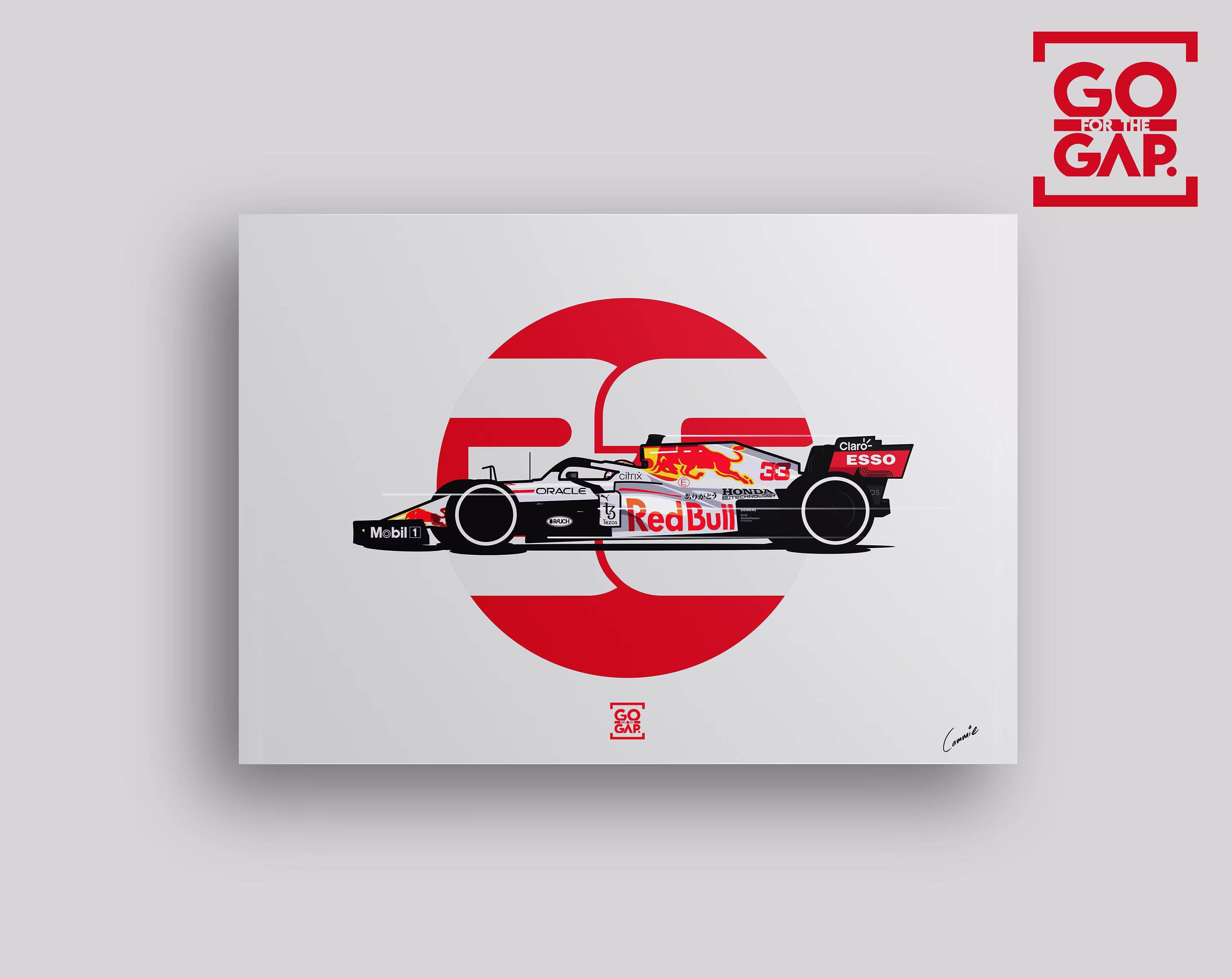 F1 Red Bull Turkish Gp Special