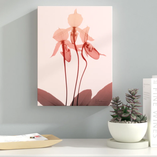 Furiosa Orchid - Wrapped Canvas Graphic Art Print