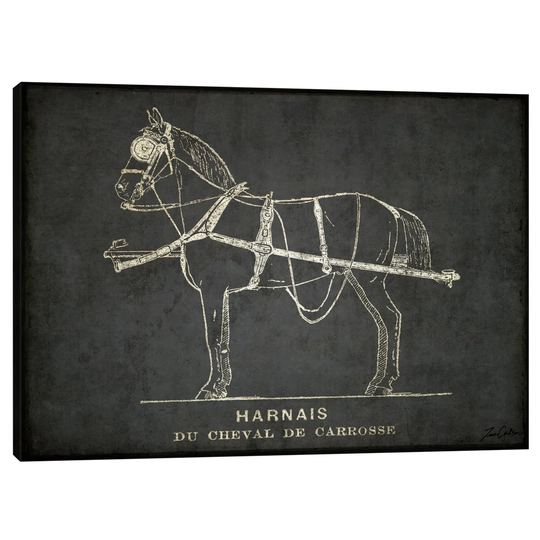 Harnais II by Tina Carlson - Wrapped Canvas Graphic Art Print